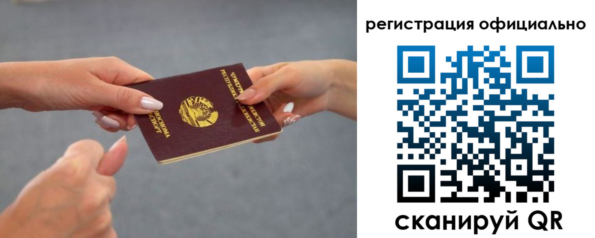 прописка поиск в Щёкино